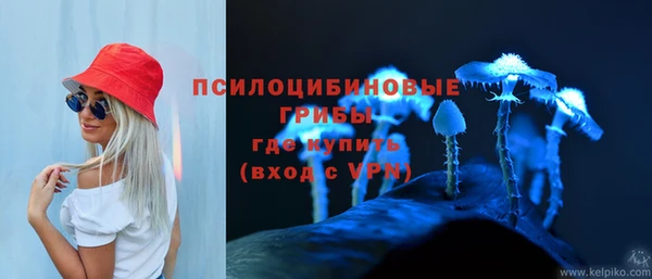 сатива Майский