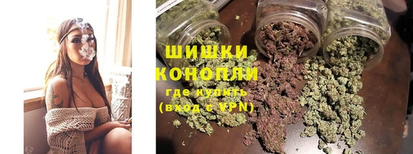 сатива Майский